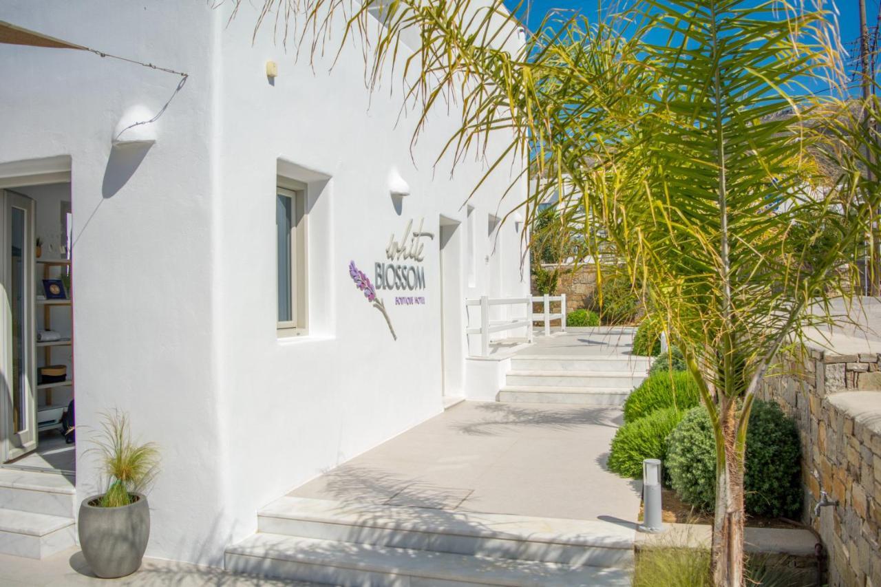 White Blossom Hotel