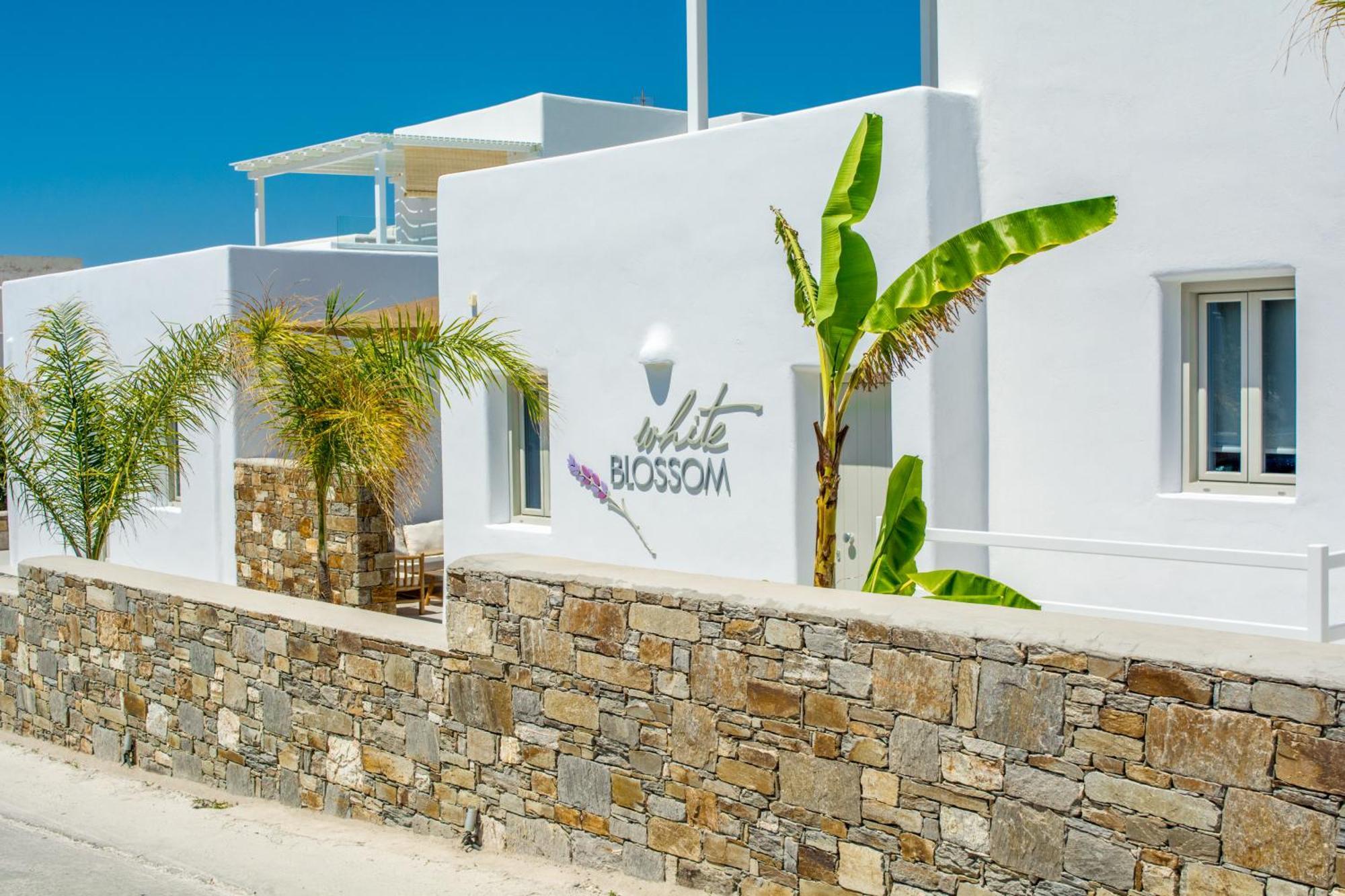 Otel White Blossom *